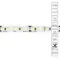 Светодиодная лента 24V 14,4W/m 6000К 5м Arte Lamp TAPE A2418008-03-6K