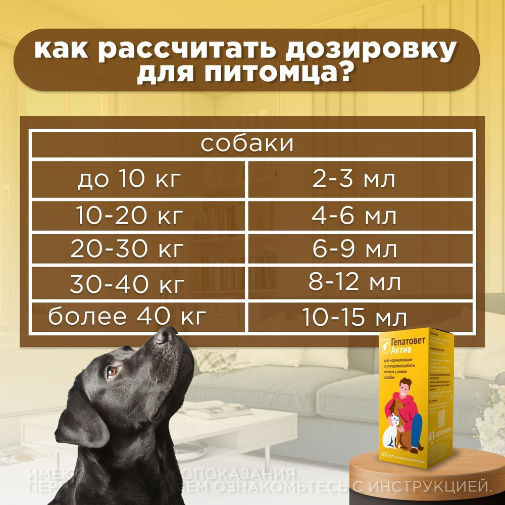 Apicenna Гепатовет Актив для собак и кошек, суспензия для нормализации и улучшения работы печени, 50 мл. Метионин.