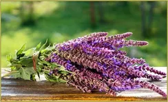 Чайный напиток №74 "Шалфей лекарственный" 50 грамм