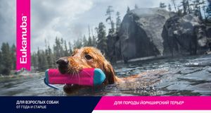 Корм для взрослых собак, Eukanuba Dog YORK, породы Йоркширский терьер