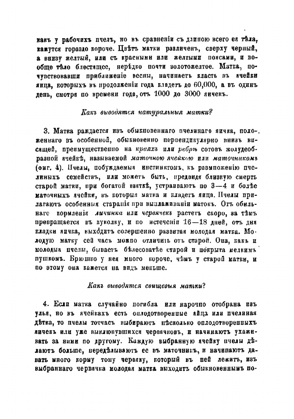Руководство к пчеловодству | Соколов Н.