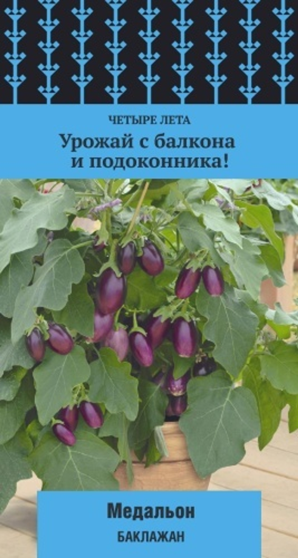 баклажан Медальон
