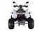 Квадроцикл RATO RТ250SТ-2