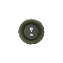 Портативная колонка JBL Flip 6 Squad