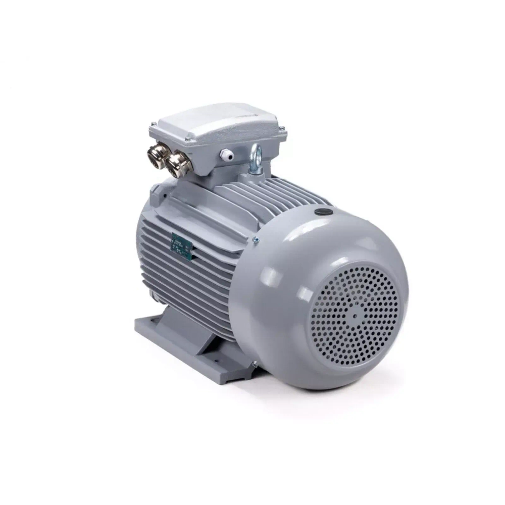 Электродвигатель ESQ PR 160 M6 GST-Б1-S12-IE2 15/1000 IM2001
