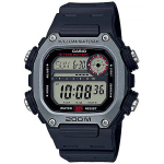 Мужские  наручные часы Casio Collection DW-291H-1A