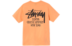 Футболки Stussy DSM New York T, Stussy-SS21-36