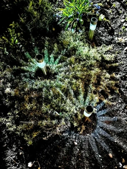 Садовый светильник на солнечной батарее - 4 шт.