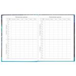 Дневник 5-11 класс 48 л., твердый, BRAUBERG, блестки, с подсказом, "Tropics", 106421