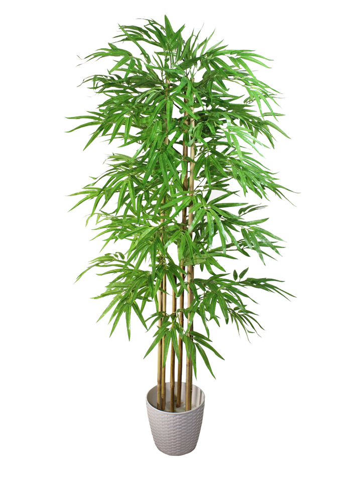 Искусственный бамбук светлый 130см в кашпо