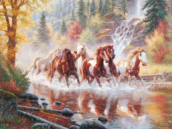 Коллекция Животные