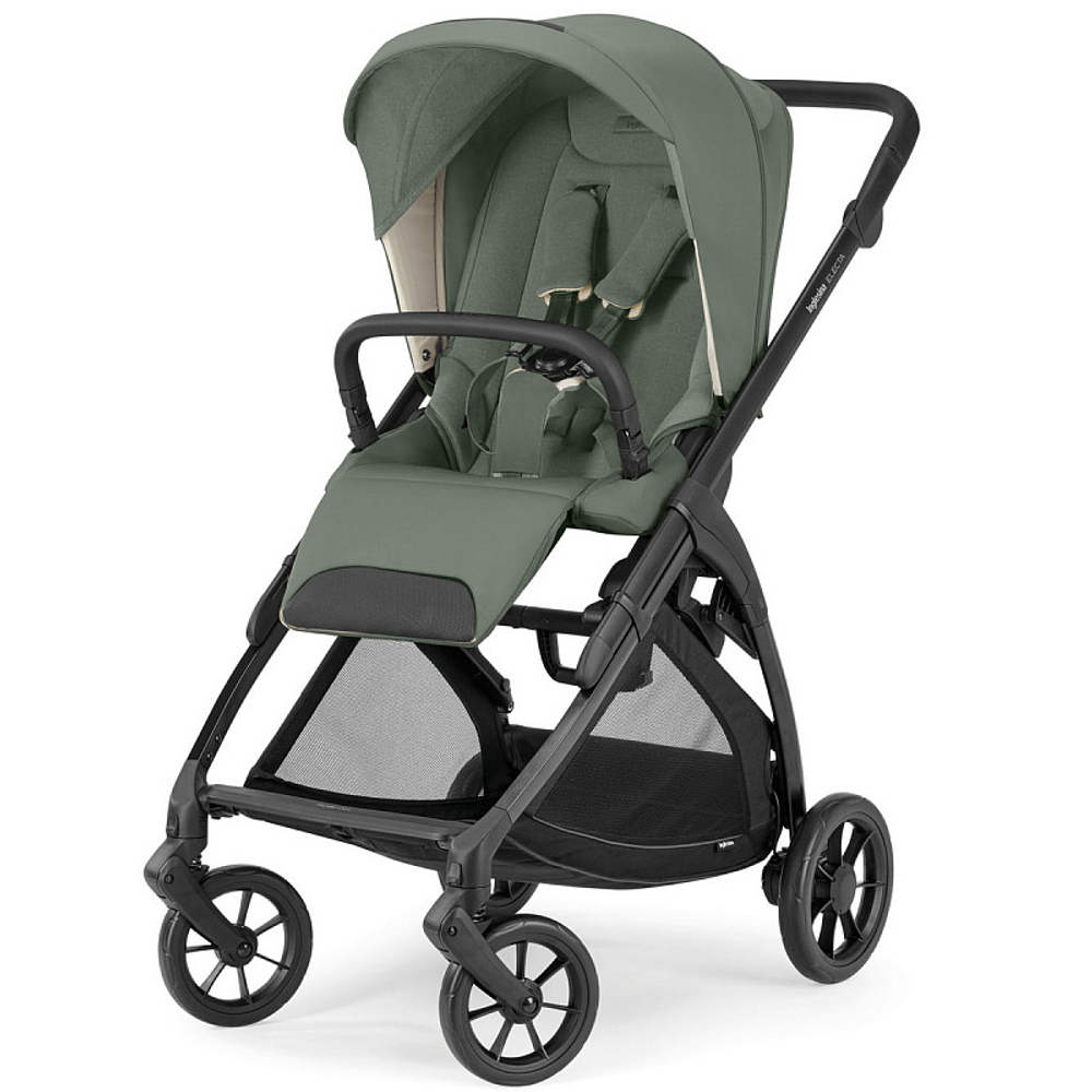 Детская прогулочная коляска Inglesina Electa 2024 Murray Green