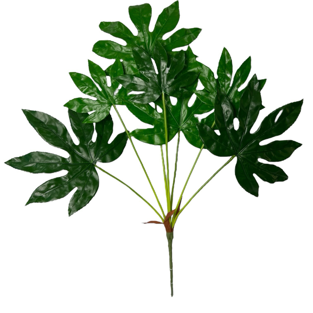 Аралия куст 80 см.