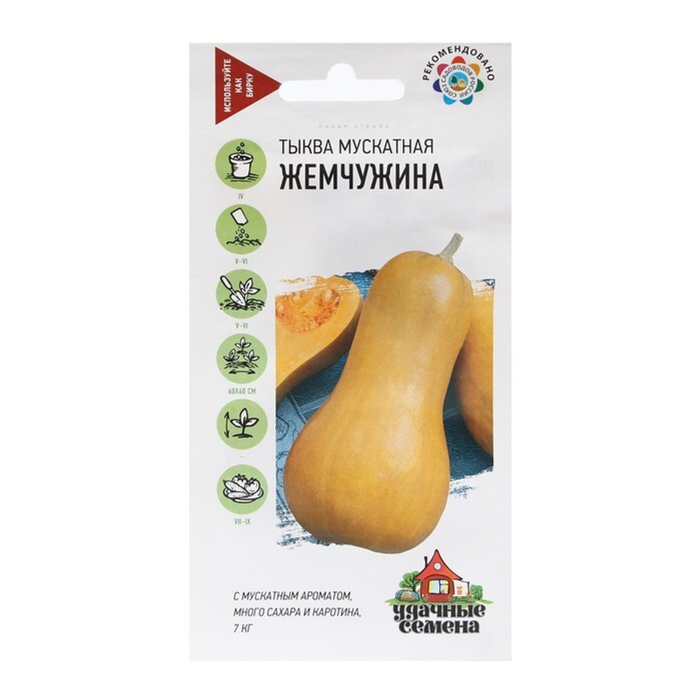 Тыква мускатная "Жемчужина" 1г