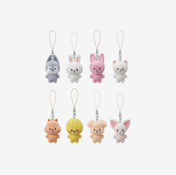 Мерч STAY in Our Little House - SKZOO SECRET MINI CHARM