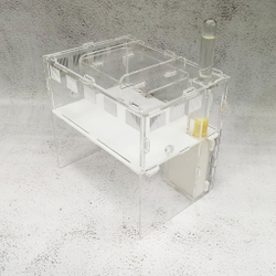 Муравьиная ферма Ковчег