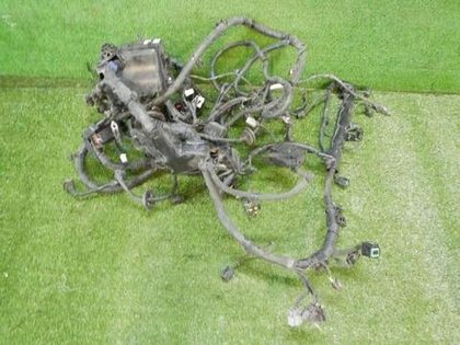 Проводка моторного отсека Hyundai Solaris 1 (2014-2017)