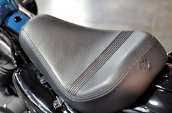 Harley-Davidson Forty-Eight 2020 Billiard Teal