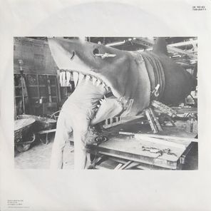 David Lee Roth / A Little Ain't Enough (LP)