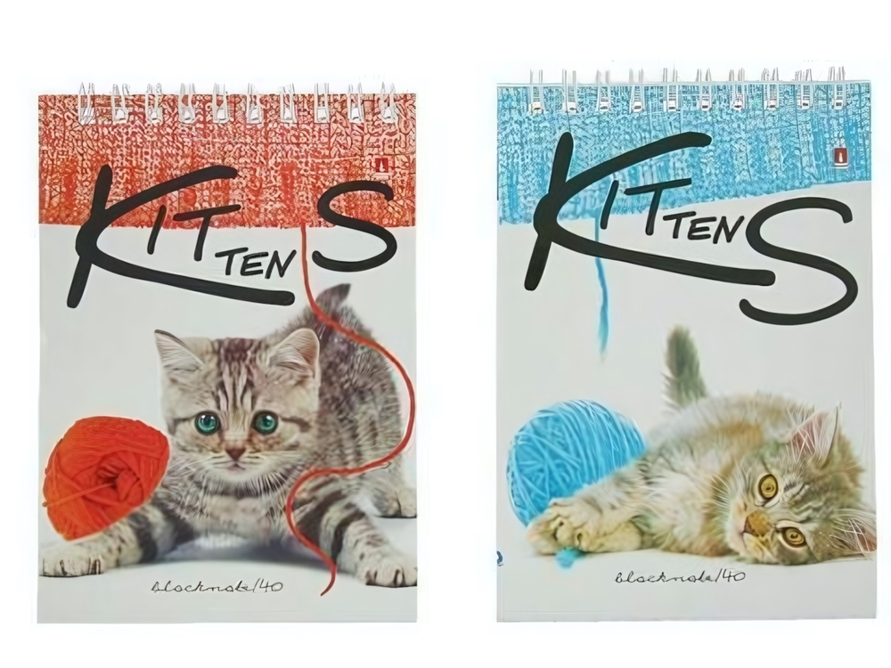 Блокнот А6 40л. клетка, на гребне "Котята" 5 видов (Альт)