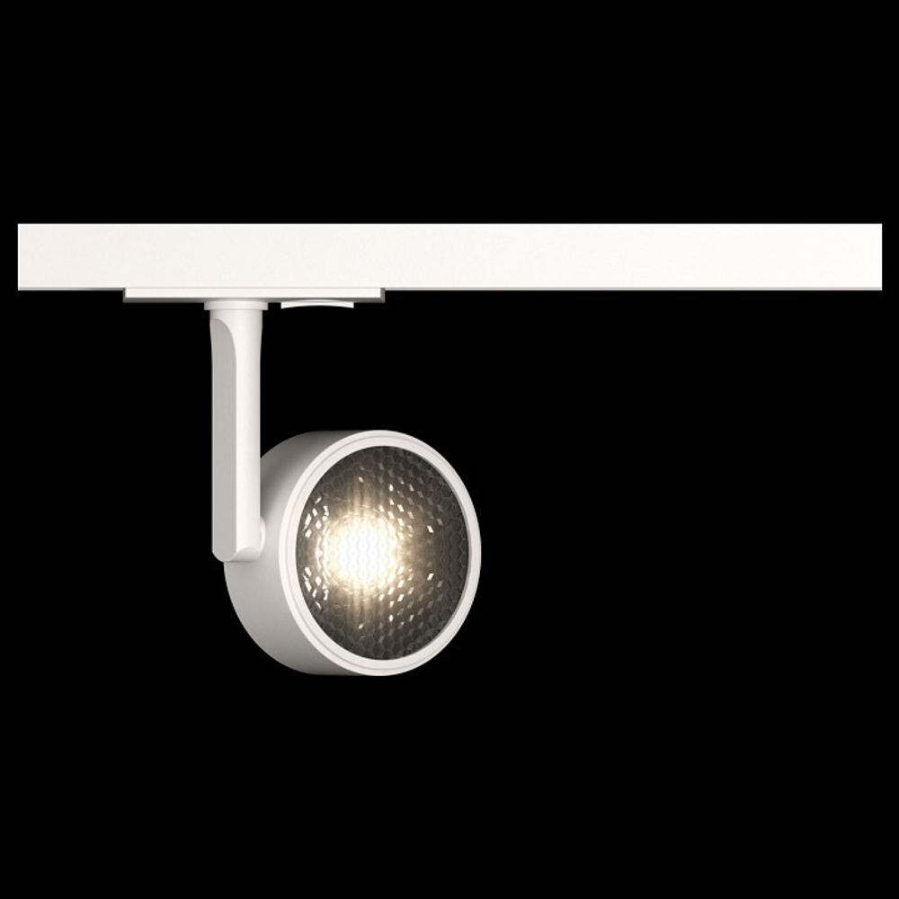 Трековый светильник Maytoni Technical TR024-1-10W4K