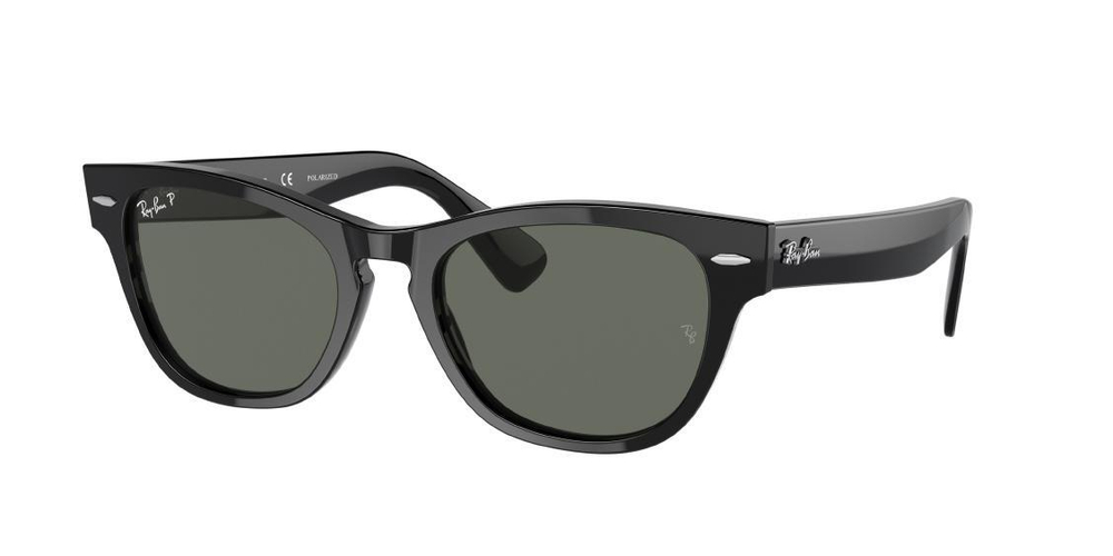 RAY-BAN LARAMIE RB2201 901/58