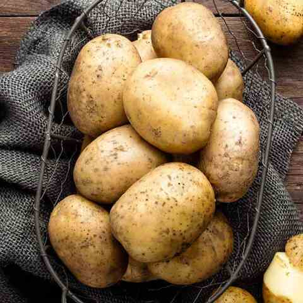 Картофель семенной Ривьера