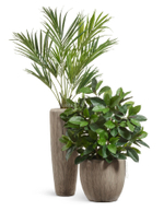 Кашпо TREEZ Effectory - серия Wow - Конус-Чаша - Капучино