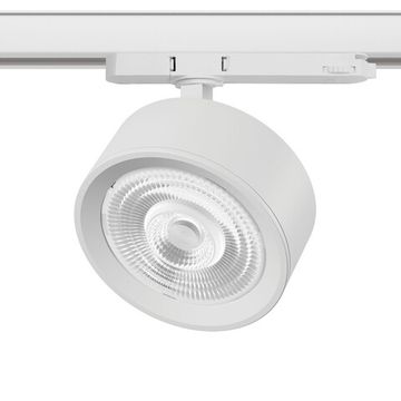 Светильник для трековой системы Quattro LED 60G с адаптером 30W 3000K A5636QT60G белый Alta Pro Lightstar