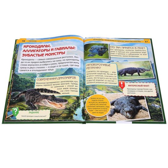 Энциклопедия А4 с развивающими заданиями. Рептилии. Формат: 197х255 мм. 48 стр. Умка