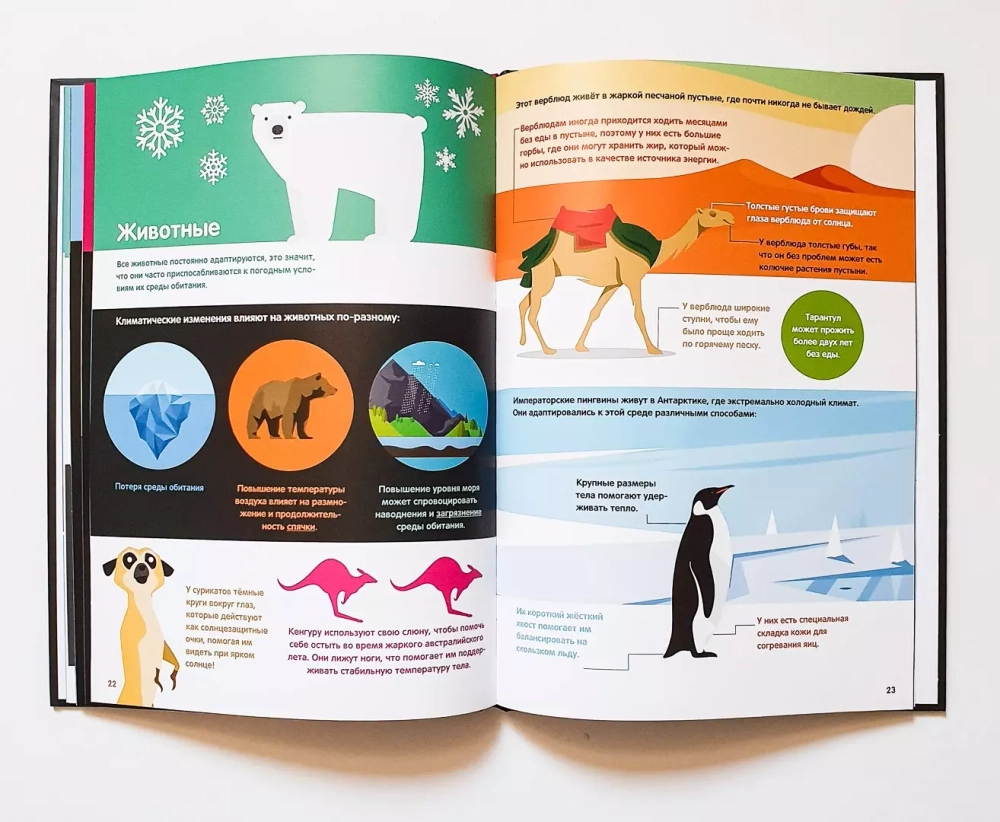 Погода. Первая энциклопедия в инфографике