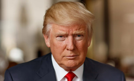 Торговая война и пошлины Трампа вызвали спад в электронной коммерции