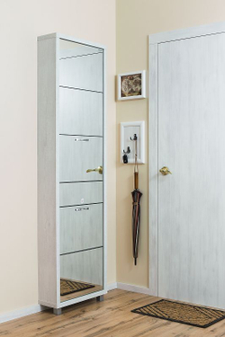 Обувница в прихожую для обуви Айрон Люкс Плюс 5 секций