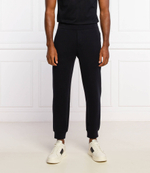 спортивные штаны Emporio Armani - черный(6K1PF6 1JHSZ)