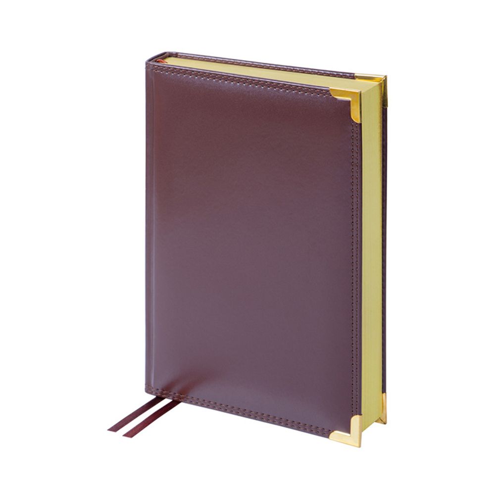 Ежедневник Delucci недатированный А5 (UD1_89502)