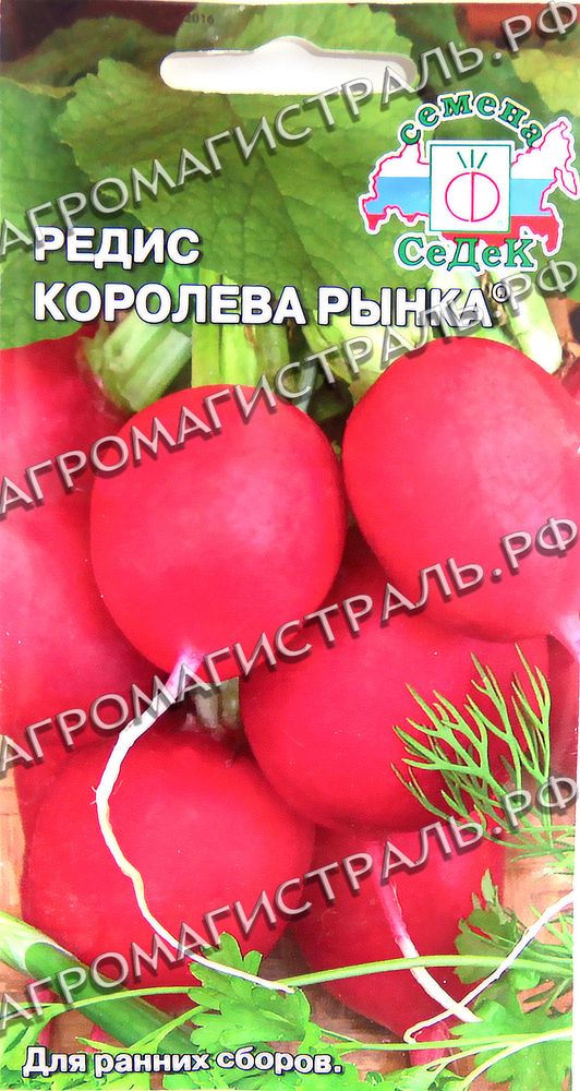 Редис Королева рынка 3г СеДеК