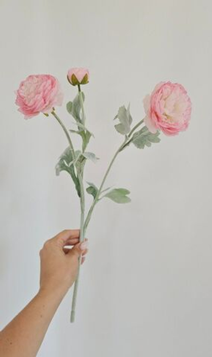 Ранункулюс / Арт 2264