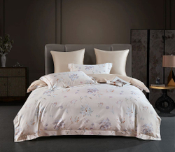 Постельное белье 2 спальное евро Asabella 2262-6