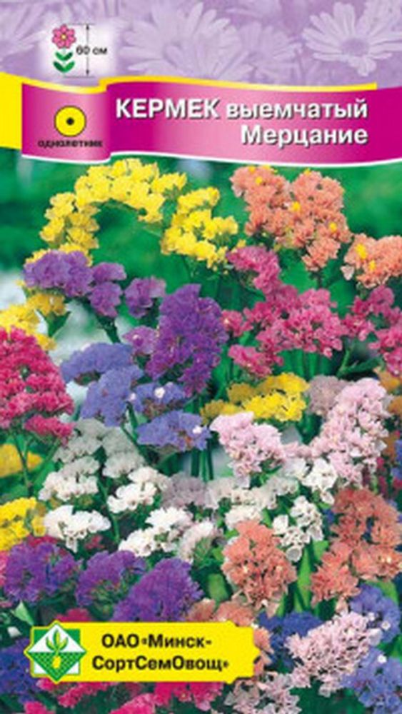 Кермек выемчатый &quot;Мерцание&quot; 0.15г, Германия.