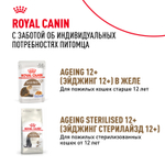 Royal Canin Ageing 12+ Корм консервированный для стареющих кошек старше 12 лет в соусе 85г