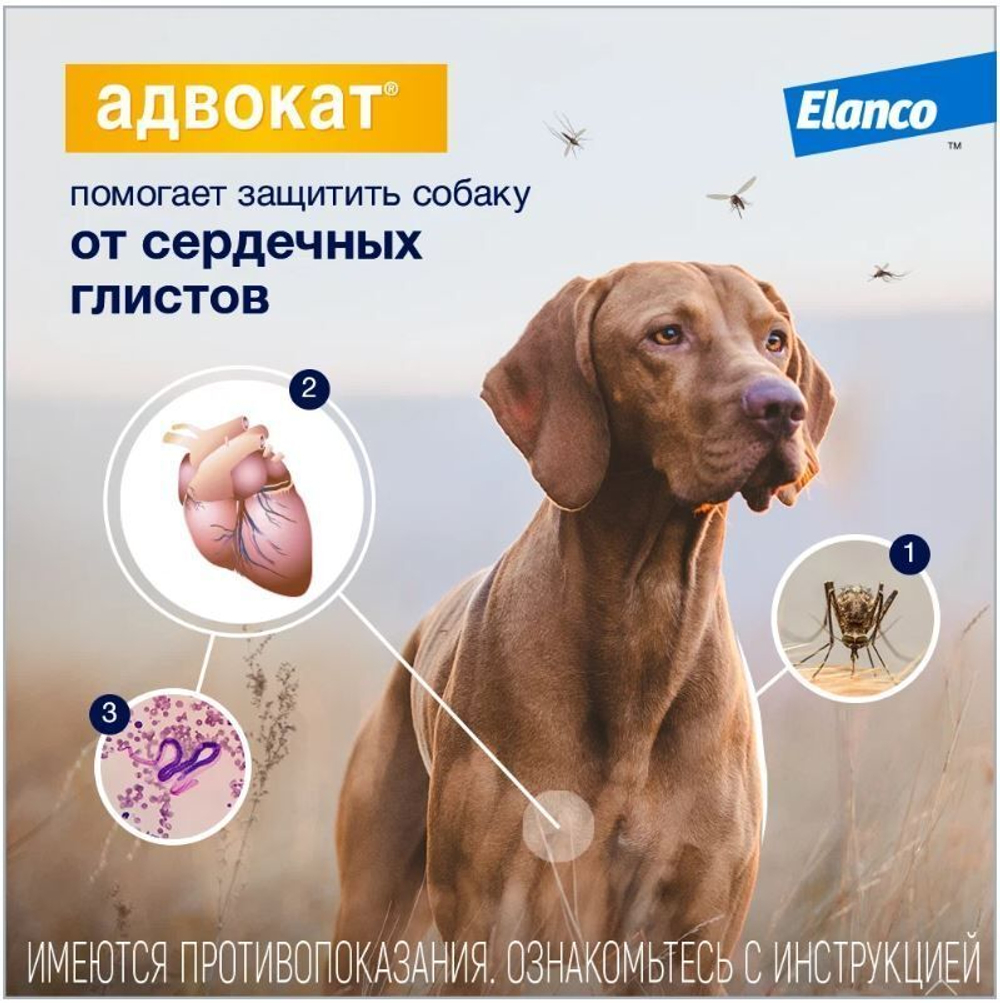Капли на холку против блох, клещей и круглых гельминтов Elanco Адвокат для собак до 4кг, 1пипетка
