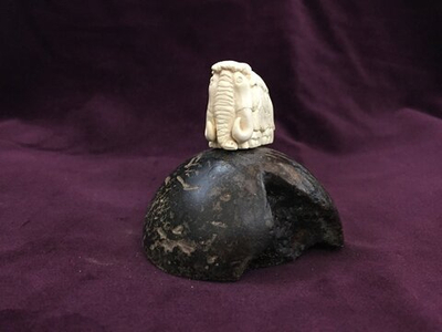 Мамонт шерстистый