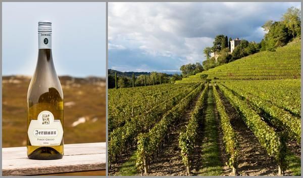 Вино недели c 17 июля - Jermann Pinot Grigio