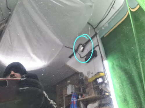 Капот Skoda Kodiaq (2016-н.в.) (В пленке)