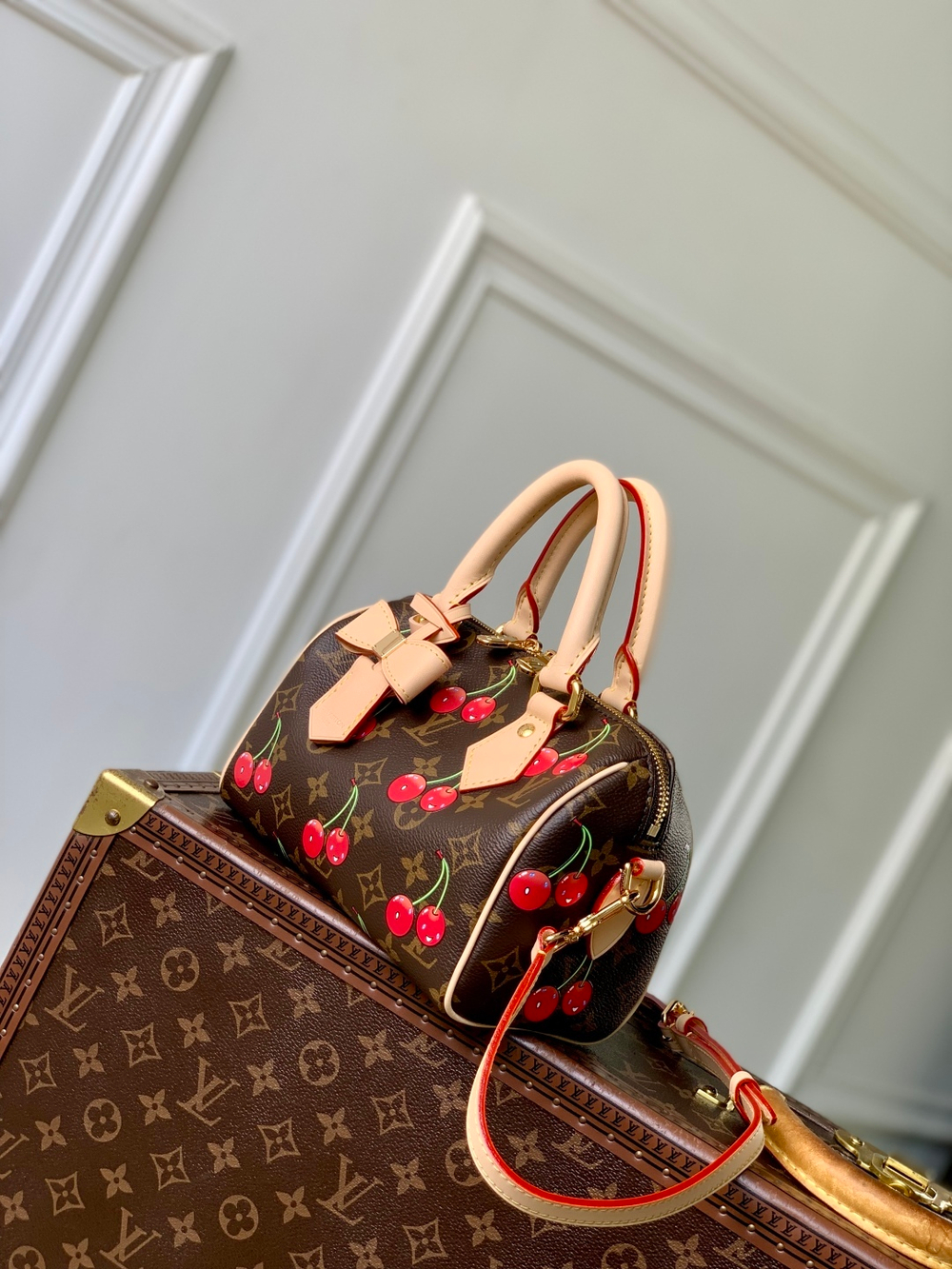 Louis Vuitton Speedy 20