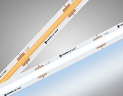 Ambrella Светодиодная лента Ambrella Light GS4753 COB 528Led/14W m/ 24V IP20 6500K/ 5m*10mm*2mm (2 конт.) LED Strip 24V GS4753