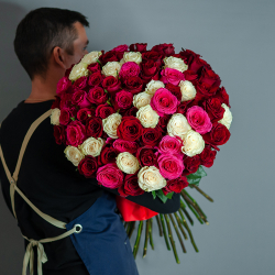 Микс из 75 роз Эквадор, перевязанный лентой