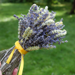 Букет сухоцветов Лаванда и Лимонник