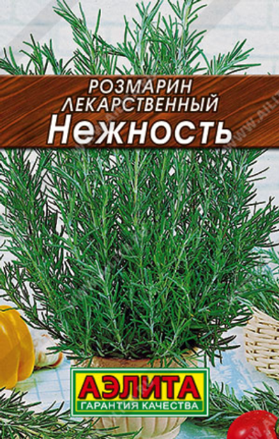 Розмарин Нежность