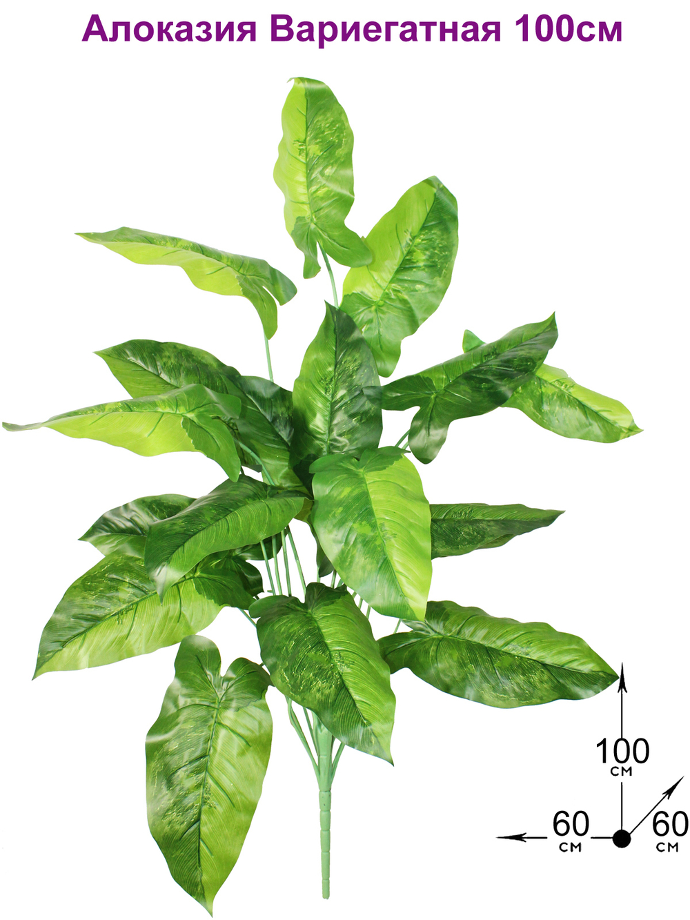 Искусственное растение Алоказия Вариегатная 100см